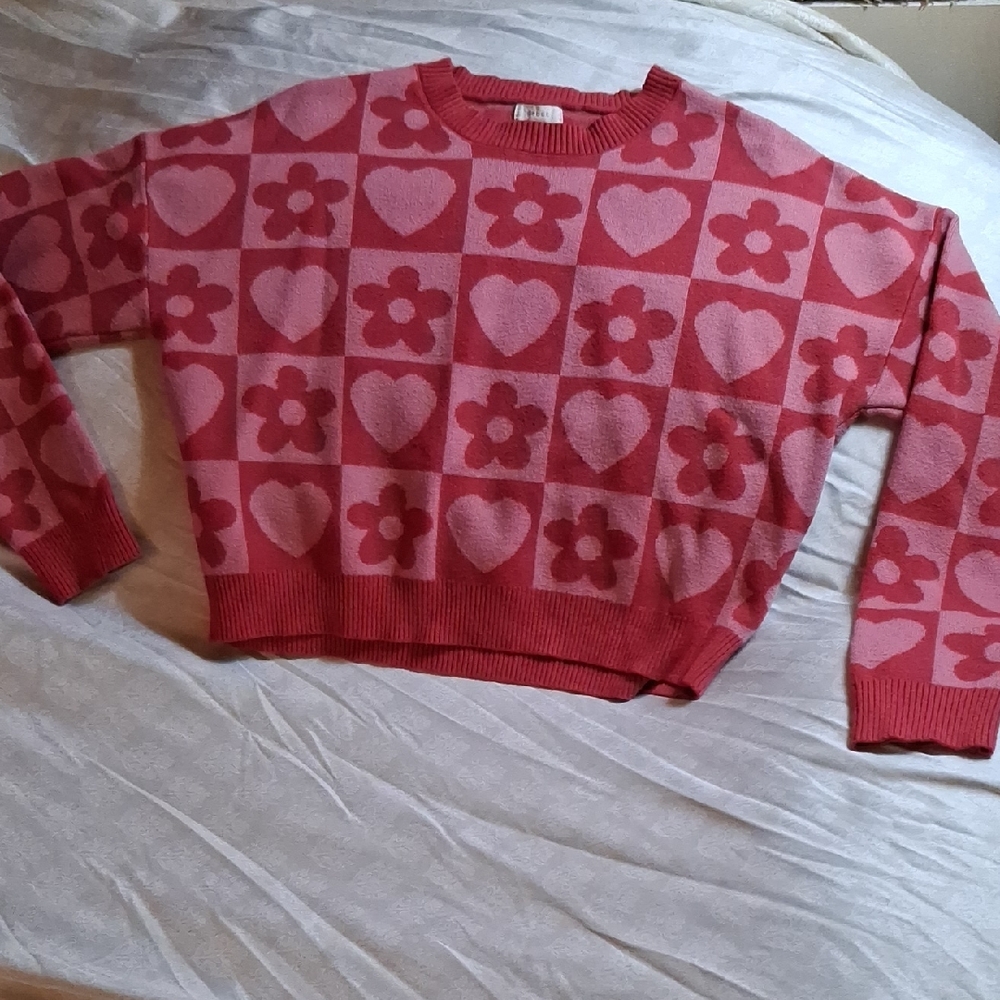 Pink Sweater